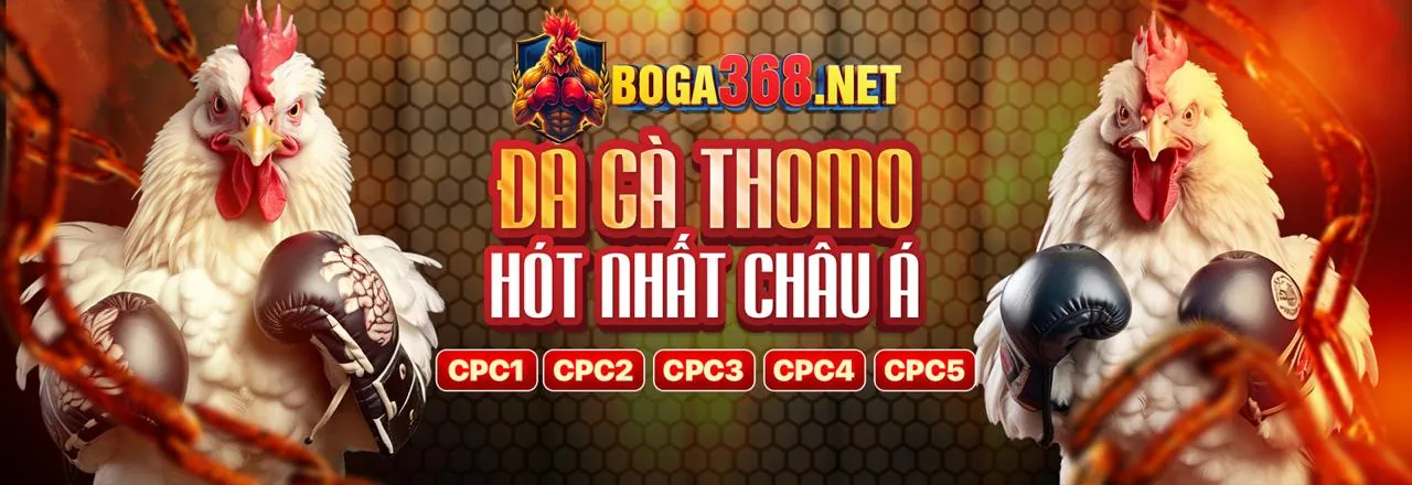 Tham gia chương trình VIP h5 p3bet
